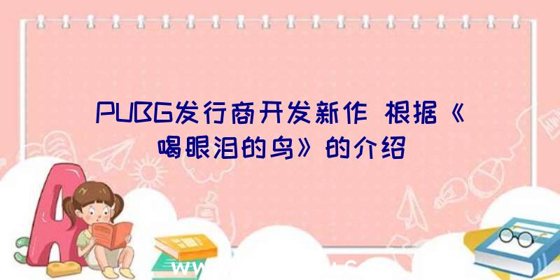 PUBG发行商开发新作